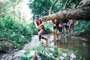 BIB: 
                            <button type="button" onclick="openModal(25446043)" class="btn btn-primary btn-sm float-right btn-popup" data-toggle="modal" data-target=".modal-high-quality">
                        <i class="fas fa-shopping-cart"></i> Add to Cart
                    </button>
                                            <button type="button" onclick="isThisMe(25446043, true)" class="btn btn-success btn-sm float-right btn-popup btn-isme hidden" data-toggle="tooltip" data-placement="bottom" title="นี่คือรูปของคุณใช่ไหม คลิกที่นี่เพื่อเอาเข้าอัลบั้ม">
                        <i class="fas fa-plus"></i> Add to album
                    </button>
                    <button type="button" onclick="isThisMe(25446043, false)" class="btn btn-warning btn-sm float-right btn-popup btn-isnotme hidden">
                        <i class="fas fa-ban"></i> Remove from album
                    </button>